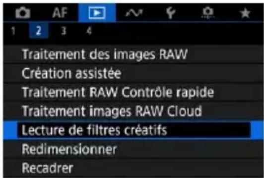 1 2 3 4 Traitement des images RAW Création assistée Traitement RAW Contrôle rapide Traitement images RAW Cloud Lecture de filtres créatifs Redimensionner Recadrer