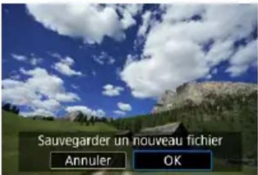 Sauvegarder un nouveau fichier Annuler OK