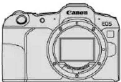 CANON EOS R8 - Droits d'auteur - 1