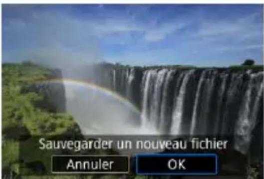 Sauvegarder un nouveau fichier Annuler OK