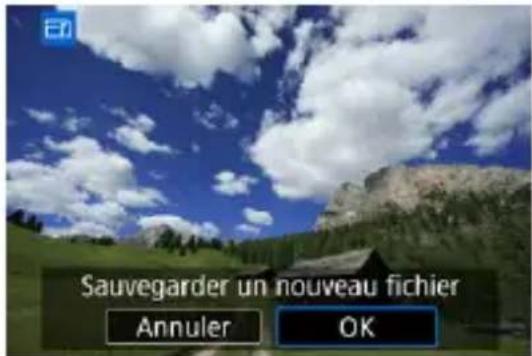 Sauvegarder un nouveau fichier Annuler OK