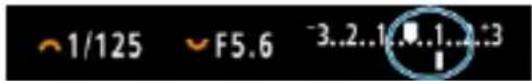 1/125 F5.6 -3..2..1..1..2..3