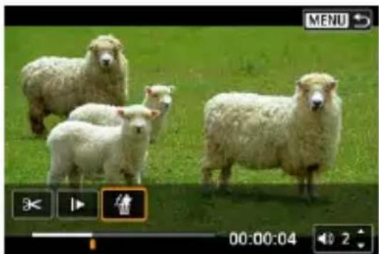 CANON EOS R8 - En mode d'affichage d'une image unique, appuyez sur la touche - 3