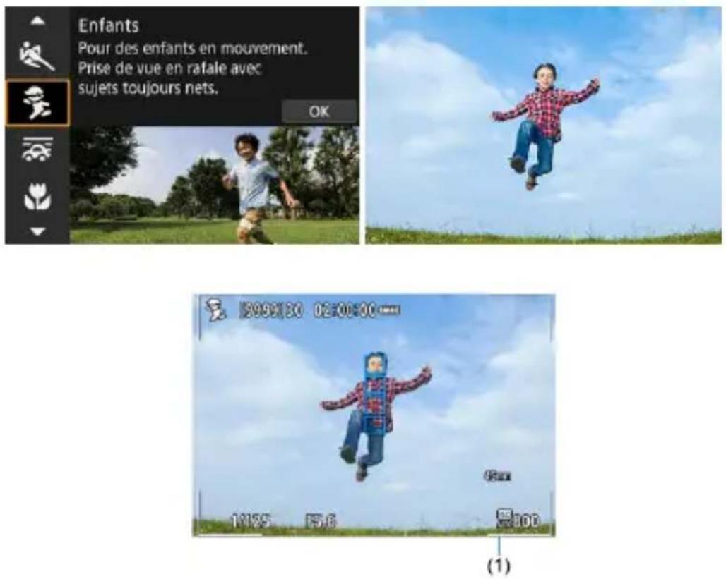 CANON EOS R8 - Attention - 1