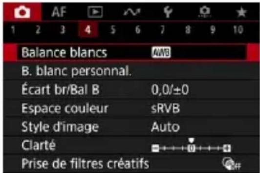 AF 1 2 3 4 5 6 7 8 9 10 Balance blancs AWB B. blanc personnel. Écart br/Bal B 0,0/±0 Espace couleur sRVB Style d'image Auto Clarté 0 Prise de filtres créatifs