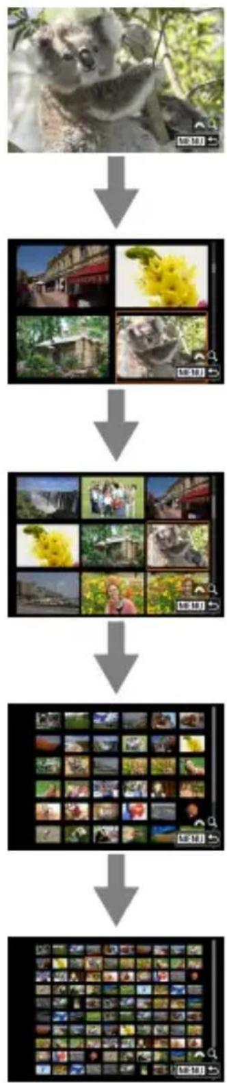 CANON EOS R8 - Affichez l'index. - 3