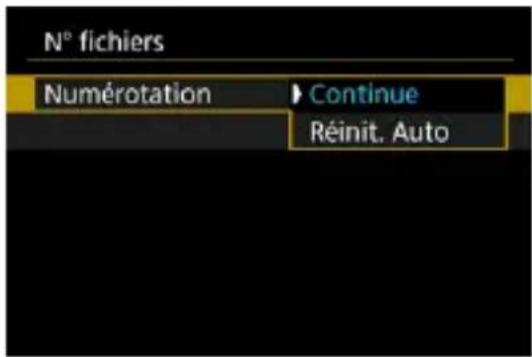 N° fichiers Numérotation ▶ Continue Réinit. Auto