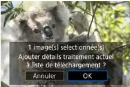 1 image(s) sélectionnée(s) Ajouter détails traitement actuel à liste de téléchargement ? Annuler OK