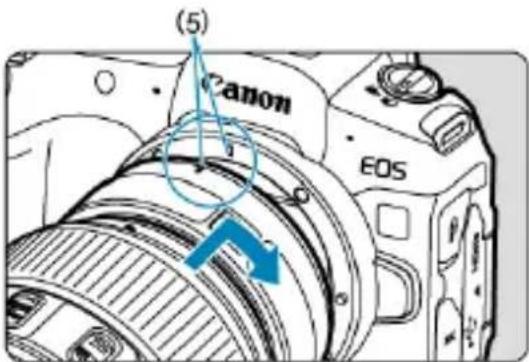 CANON EOS R8 - Fixez la bague d'adaptation sur l'appareil photo. - 1