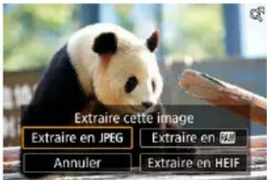 Extraire cette image Extraire en JPEG Annuler Extraire en 924 Extraire en HEIF