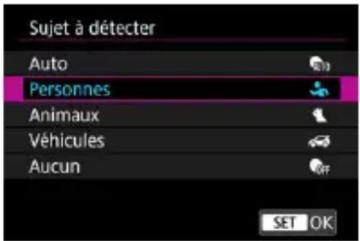 Sujet à détecter Auto Personnes Animaux Véhicules Aucun SET OK