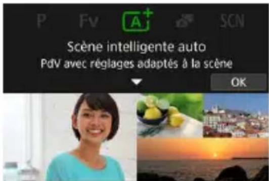 P Fv A+ SCN Scène intelligente auto PdV avec réglages adaptés à la scène OK