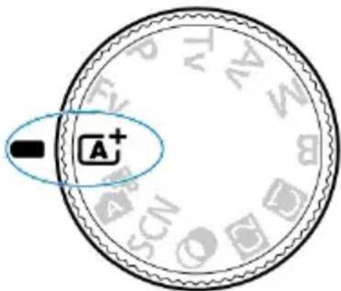A⁺
