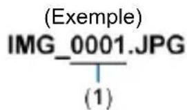 (Exemple) IMG_0001.JPG (1)