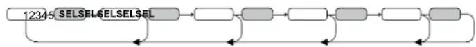 CALIBER RMD213DABBT - Impostazioni con il tasto SEL(2) (VOL/BAS/TRE/BAL/FAD) - 1