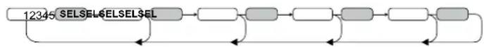 CALIBER RMD213DABBT - Einstellungen mit der SEL(2)-Taste (VOL/BAS/TRE/BAL/FAD) - 1