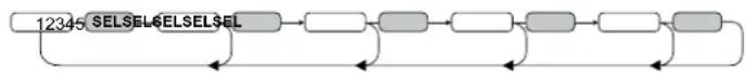 CALIBER RMD213DABBT - Ajustes con la tecla SEL(2) (VOL/BAS/TRE/BAL/FAD) - 1