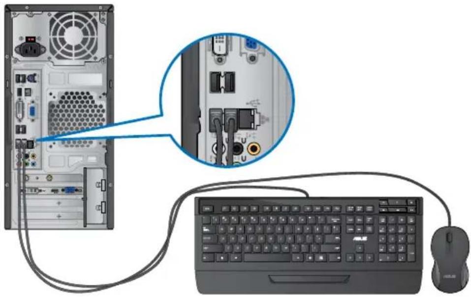 ASUS Essentio CM1730 - Connecting a USB keyboard and a USB mouse - 1
