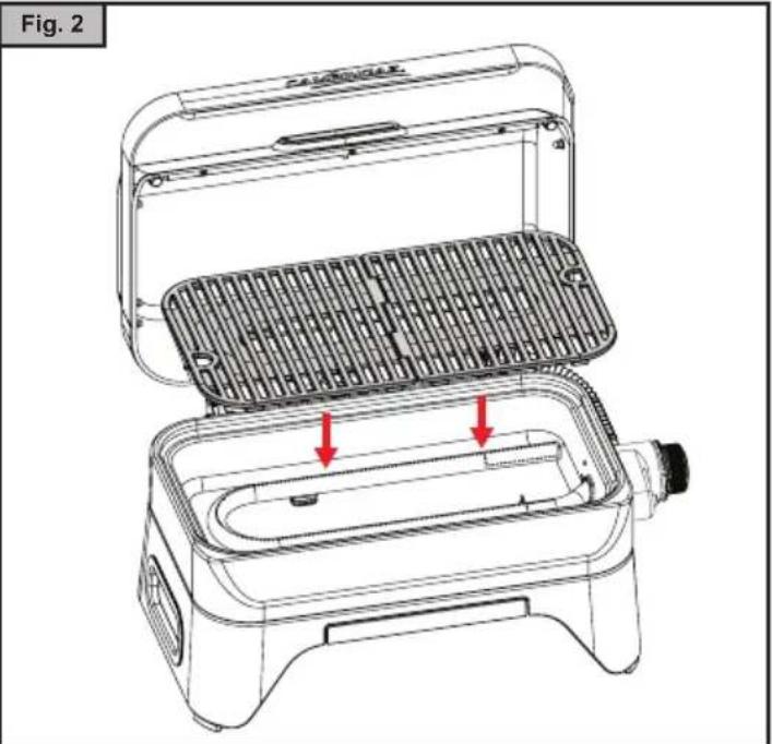 Fig. 2 PANDESTER