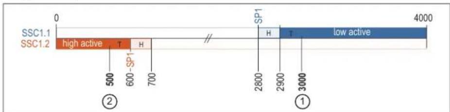 IFM MK5907 - Exemple de paramétrage « configuration manuelle des seuils de commutation » (2x mode Single Point) : - 1