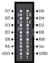 AREXX RP6CC128 - Contenu - 3