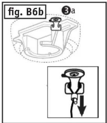 fig. B6b ③a