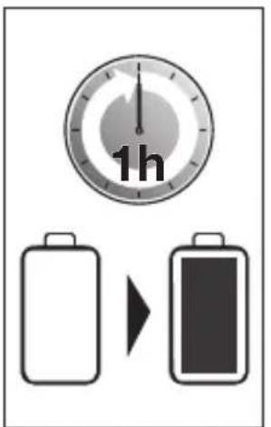 1h
