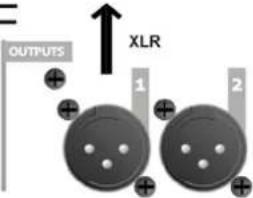 DB Technologies BHype 12 - INPUT CONNECTIONS AND AUDIO DAISY CHAIN - 2