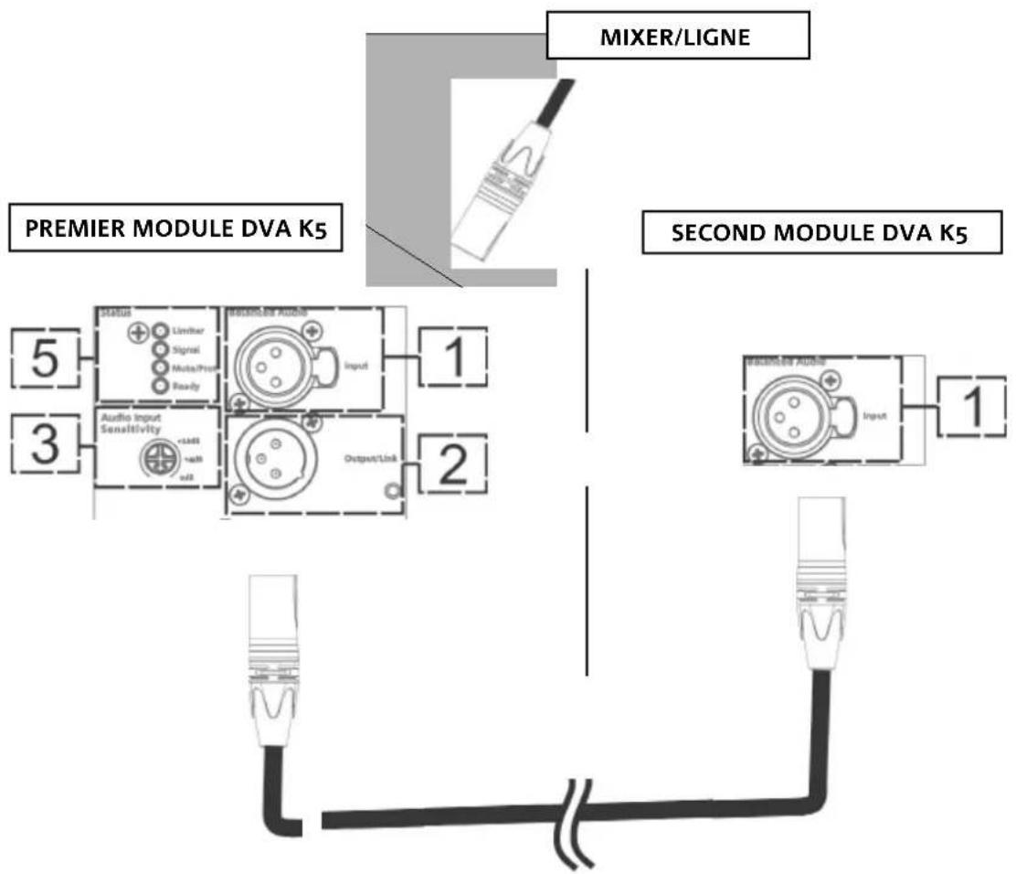 DB Technologies DVA K5 - BRANCHEMENT ET RELANCE DES ENTRÉES - 1
