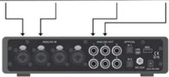 Warm Audio WA2MPX - EMBASE SECTEUR IEC - 1