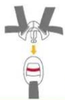 Joie Spin 360 GTI - Sikre barnet - 6