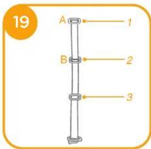 19 A 1 B 2 3