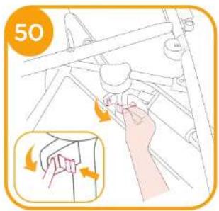 50