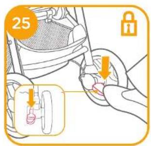 25