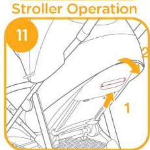 Stroller Operation 11 2 1
