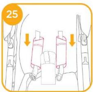 25