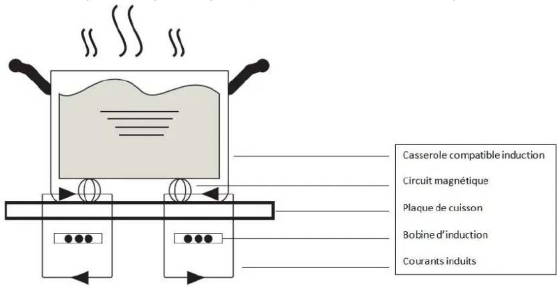Casserole compatible induction Circuit magnétique Plaque de cuisson Bobine d'induction Courants induits