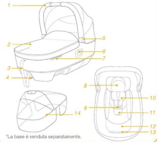 Joie Calmi - Base - 2