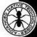 ANT Antmix 24FX USB - 13/14 - 15/16 (ANTMIX 16FX USB) / 21/22 - 23/24 (ANTMIX 24FX USB) - 6