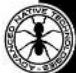 ANT Antmix 24FX USB - DFX MUTE - 1