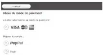 Choix du mode de paiement « Encler les équivalent » un mode de paiement: VISA Maïzen le contrôle : PayPal Avant
