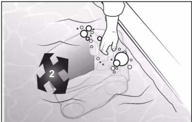 POLARIS FREEDOM - Submerge the Cleaner - 2