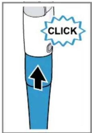 CLICK