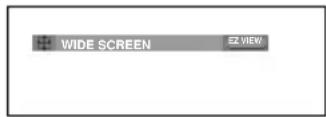 SAMSUNG DVDP280K - To play back using aspect ratio (DVD) - 1