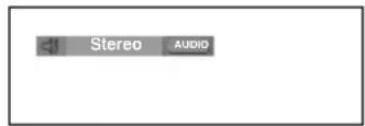 SAMSUNG DVDP280K - Using the AUDIO button - 2