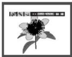 SAMSUNG DVDP280K - Reproducción de CD de imágenes - 1