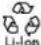 Fein ABOP 10 - 7