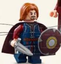 LEGO Icons 10316 - 2