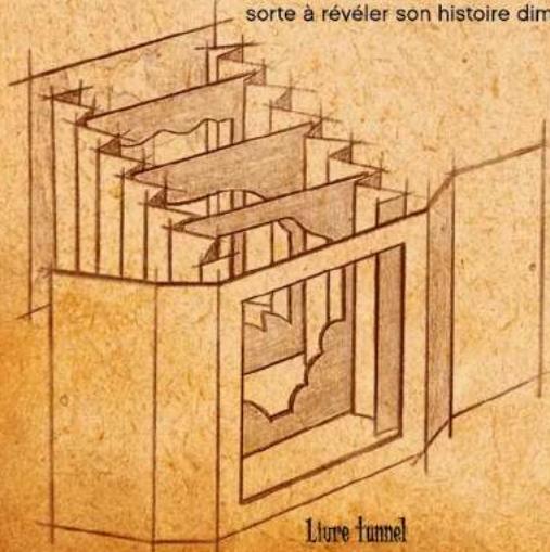 sorte à révéler son histoire dim Litre tunnel