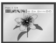SAMSUNG DVDV70 - Reproducción de Picture CD - 3